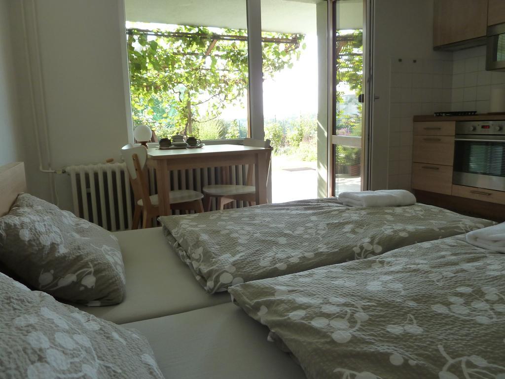 Ubytovani Vinohrady 73 Znojmo Exterior foto